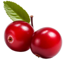 Cranberry